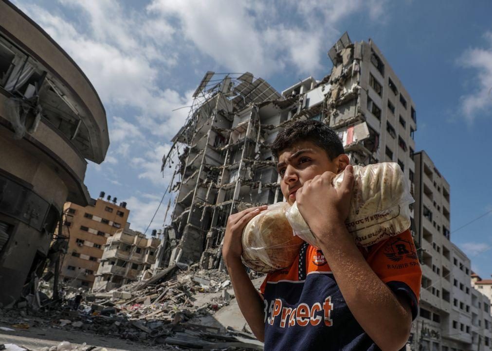 ONU aponta para 1 milhão de pessoas deslocadas em Gaza
