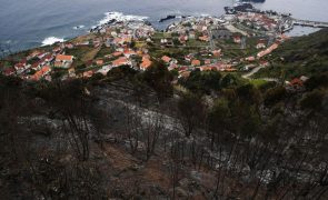 Incêndios mais significativos na Madeira já estão extintos