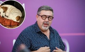 Malato Deixa dedicatória aos seus cães: 