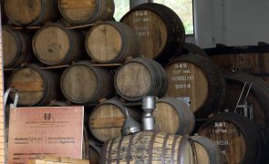 Instituto promove Vinho Madeira em Los Angeles para aumentar exportações