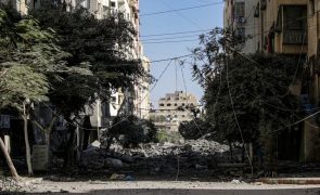 Israel: Brasil anuncia envio de duas toneladas de alimentos para Gaza