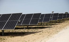 Central solar moçambicana já fornece 