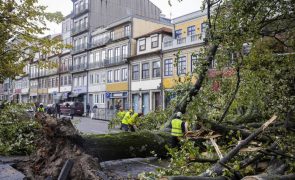 Porto encerra parques urbanos e pede que se evitem zonas com árvores