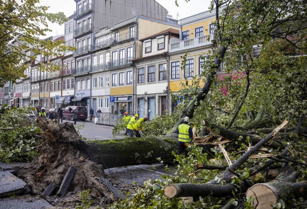 Porto encerra parques urbanos e pede que se evitem zonas com árvores
