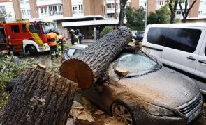 Um morto e dezenas de voos e comboios cancelados em Espanha devido ao mau tempo