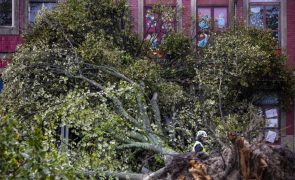 Proteção Civil com registo de 525 ocorrências devido ao mau tempo