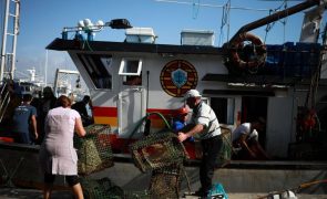 Governo diz que pequena pesca será 
