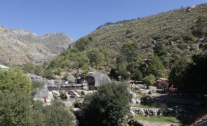 Associações da serra da Estrela dedicam este mês à floresta autóctone