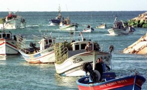 Conselho da UE dá 'luz verde' final a novo regime de controlo das pescas