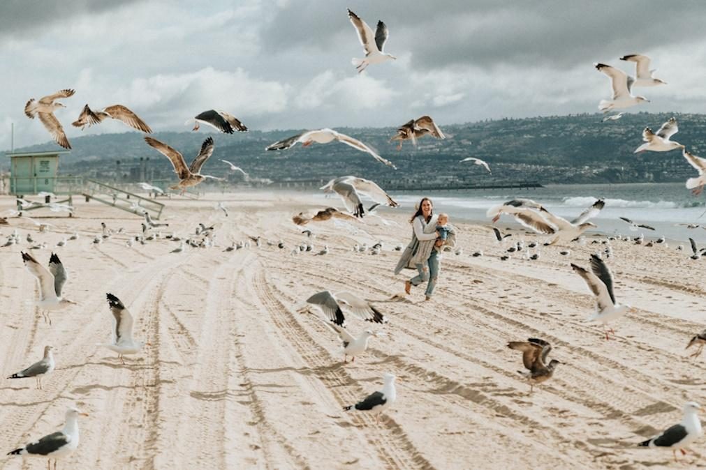 Previsão do tempo para quinta-feira, 16 de novembro