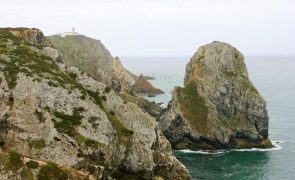Área Marinha de Cascais, Mafra e Sintra com potencial para ter 