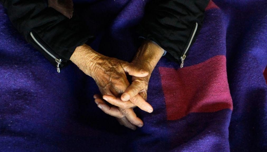 CM Porto vai criar comissão para sinalizar idosos em isolamento e exclusão