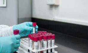 Anemia - Um grave problema: Causas, tratamento e prevenção