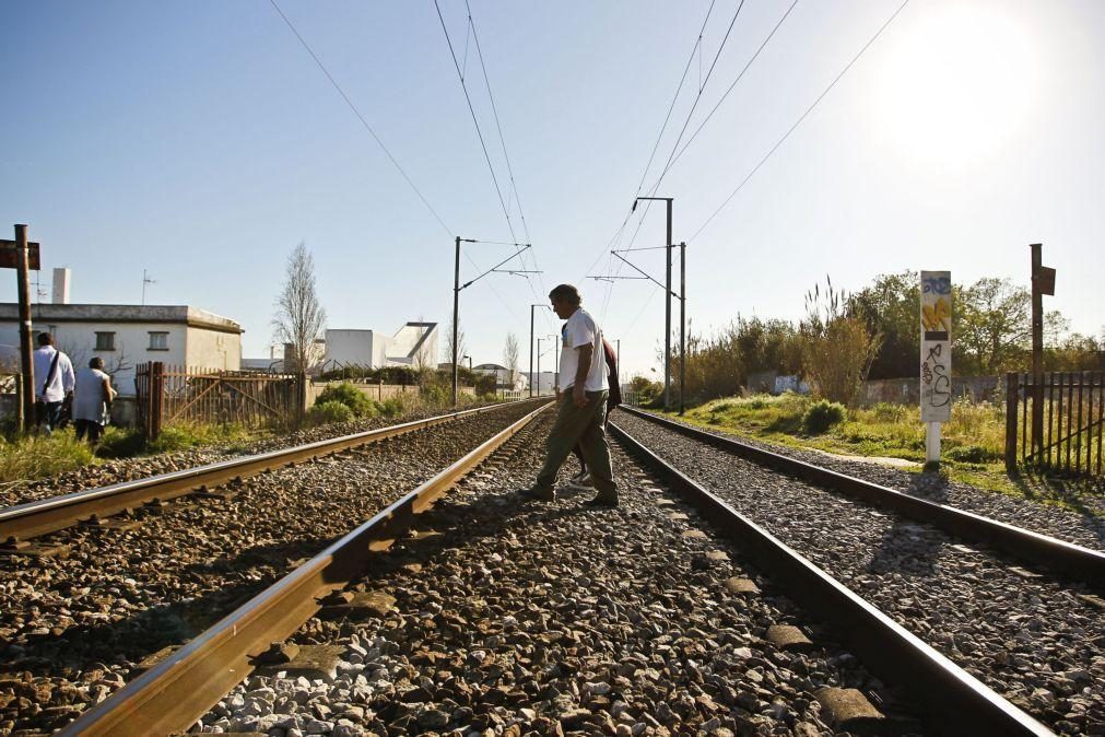 Linha do Norte cortada por atropelamento ferroviário na Ribeira de Santarém