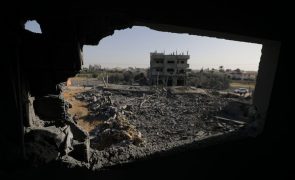 Israel: Ataque a escola da ONU em Gaza provoca 27 mortes - Médico