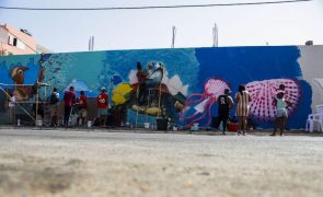 Engenheiro cabo-verdiano torna-se artista com 