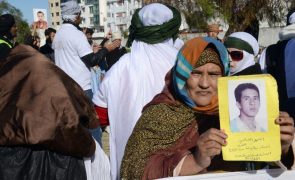 ONU exige libertação imediata de 13 ativistas sarauis detidos de forma arbitrária