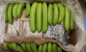 PJ apreende mais de 4 toneladas de cocaína escondidas em caixas de bananas em Lisboa