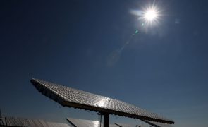 Almina inicia produção solar para autoconsumo após investimento superior a 20 ME
