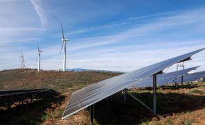 Renováveis abastecem 87% da eletricidade consumida em novembro