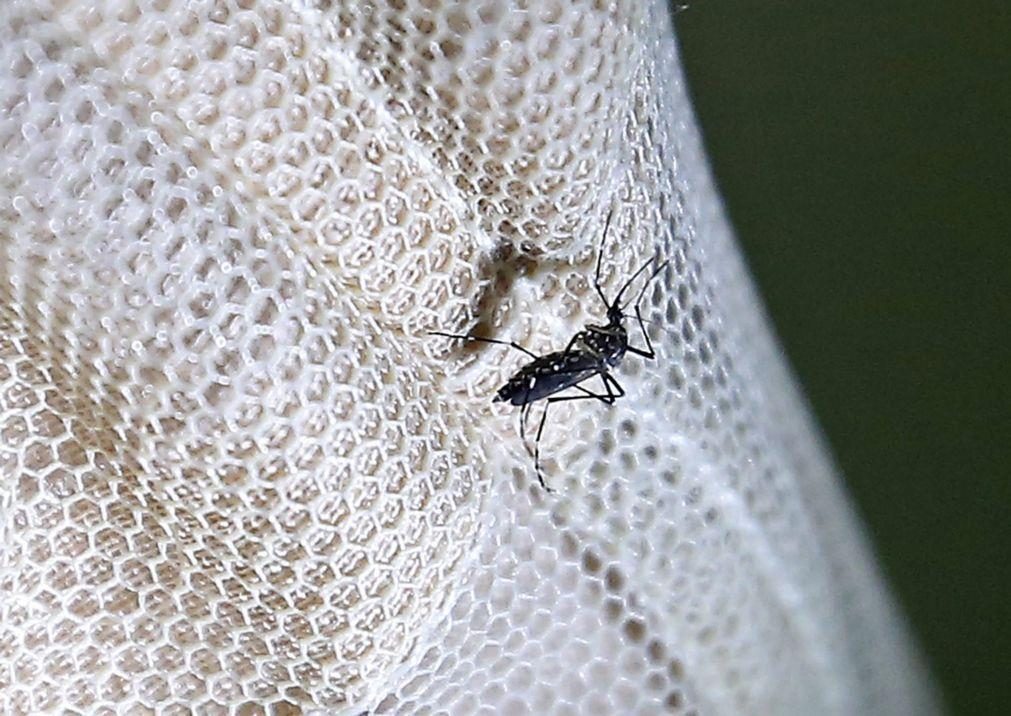 Calor vai espalhar malária, zika, dengue e chikungunya pelo mundo - Especialista