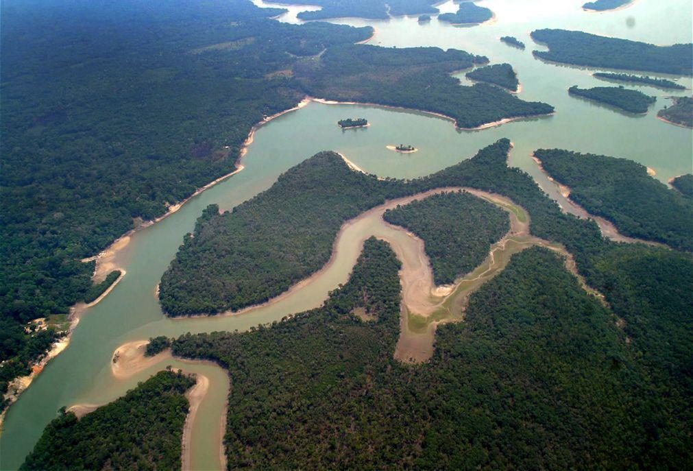 Amazónia já está muito próxima de se tornar uma savana, diz climatologista Carlos Nobre