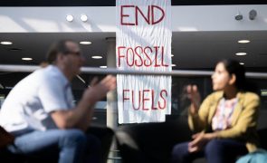 COP28: Amnistia Internacional pede eliminação urgente dos combustíveis fósseis