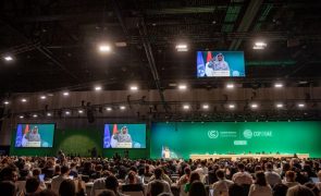 Grande parte dos países celebra acordo alcançado na COP28