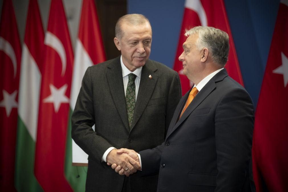 Erdogan defende reconhecimento de Estado da Palestina com fronteiras de 1967