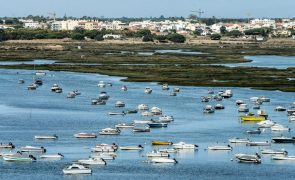ICNF vai ordenar ancoragem de embarcações de recreio na Ria Formosa