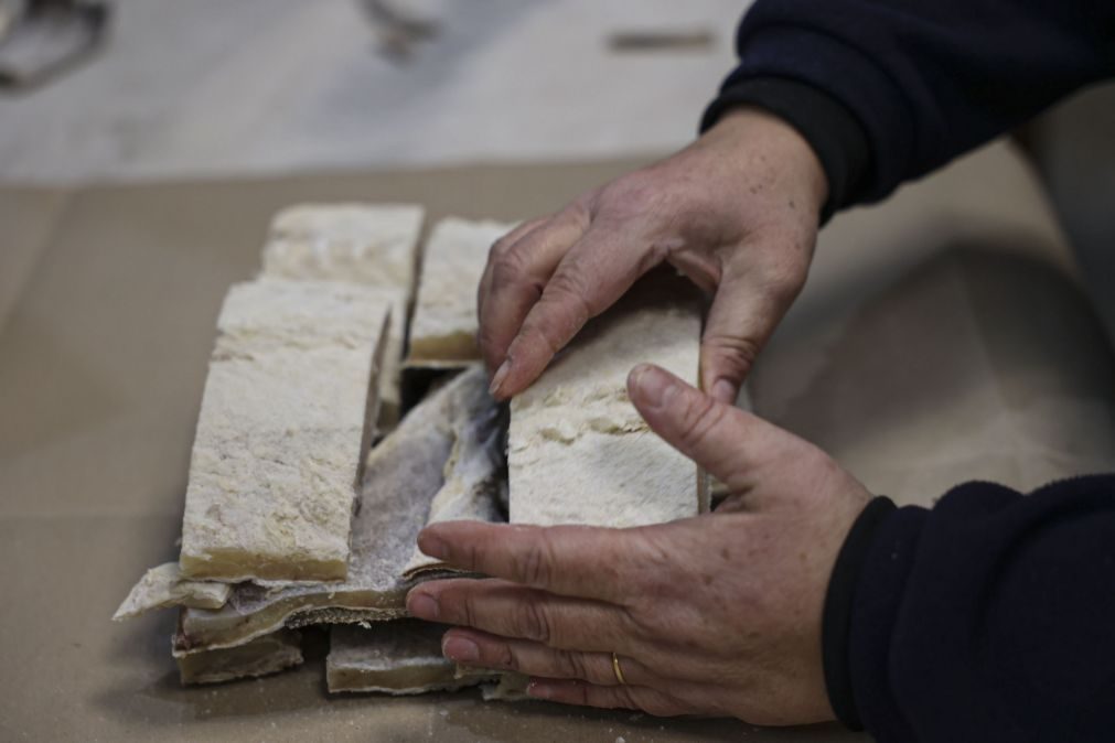 Saiba quantos quilos de bacalhau come em média por ano cada português