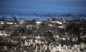 As 20 piores catástrofes climáticas de 2023 custaram a cada habitante 360 euros