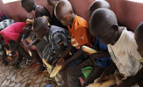 PAM assina acordo com agricultores guineenses para compra de alimentos para crianças
