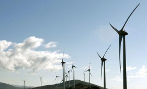 EDP Renováveis vende projetos eólicos no Brasil a empresa norueguesa por 300ME
