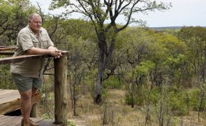 Namibiano quer criar em Angola o maior parque africano de safaris privado em África