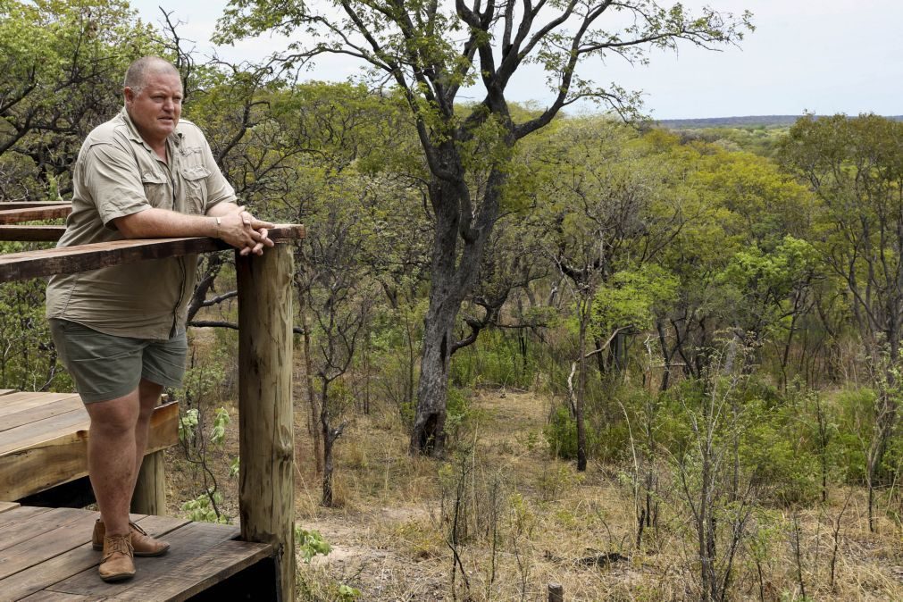 Namibiano quer criar em Angola o maior parque africano de safaris privado em África