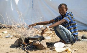 Governo etíope rejeita catástrofe iminente por fome na região de Tigray