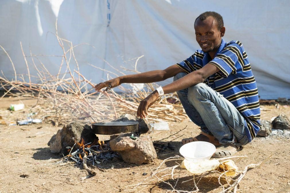 Governo etíope rejeita catástrofe iminente por fome na região de Tigray