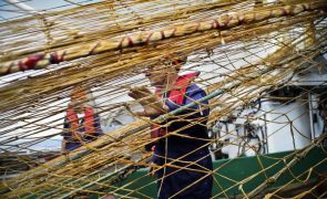 Português entre os detidos na Namíbia por pesca ilegal em barco angolano
