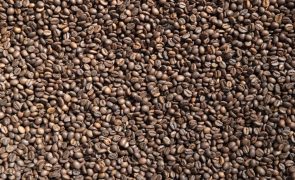 Preço do café termina 2023 a subir 12% devido a conflitos no Médio Oriente
