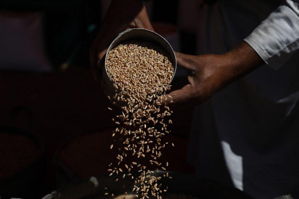 Preços mundiais dos bens alimentares caíram 13,7% em 2023