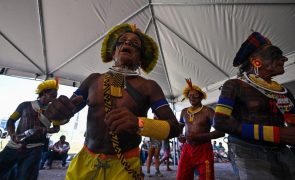 Brasil cria selo de identificação de origem para produtos indígenas