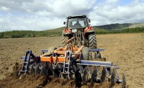 Governo autoriza reforço de segundo pilar da Política Agrícola Comum em 58 ME