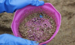 Toneladas de minúsculas bolas de plástico perdidas em águas portuguesas dão à costa na Galiza