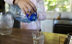 Empresas garantem que água mineral natural e de nascente é segura