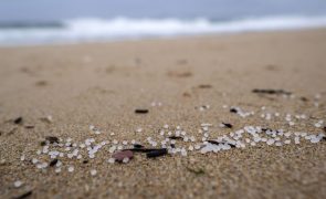 Bruxelas diz que bolas de plástico que estão a dar à costa em Espanha ameaçam ambiente e pesca