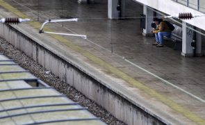 Mais de 400 ligações de comboio canceladas até às 14:00 devido à greve na IP