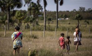 Brasil recuperou este ano a saúde de mais de 300 crianças Yanomami desnutridas