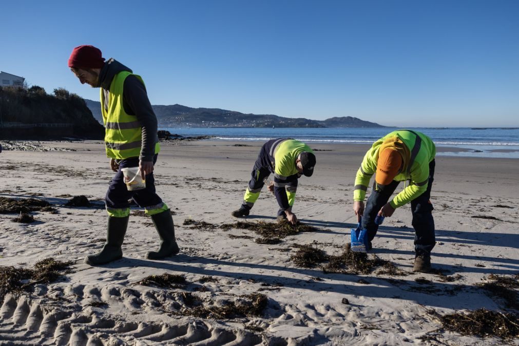 Plástico minúsculo e disperso recolhido à mão nas praias da Galiza