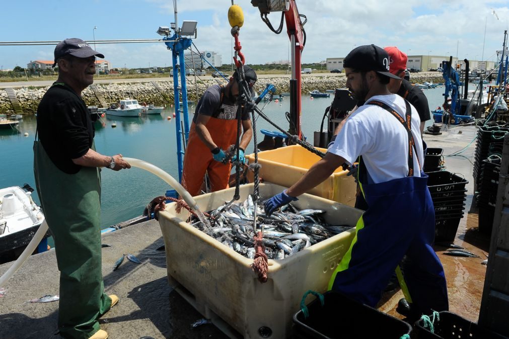 Beneficiários do Mar 2020 investiram 796,5 ME na pesca e aquicultura